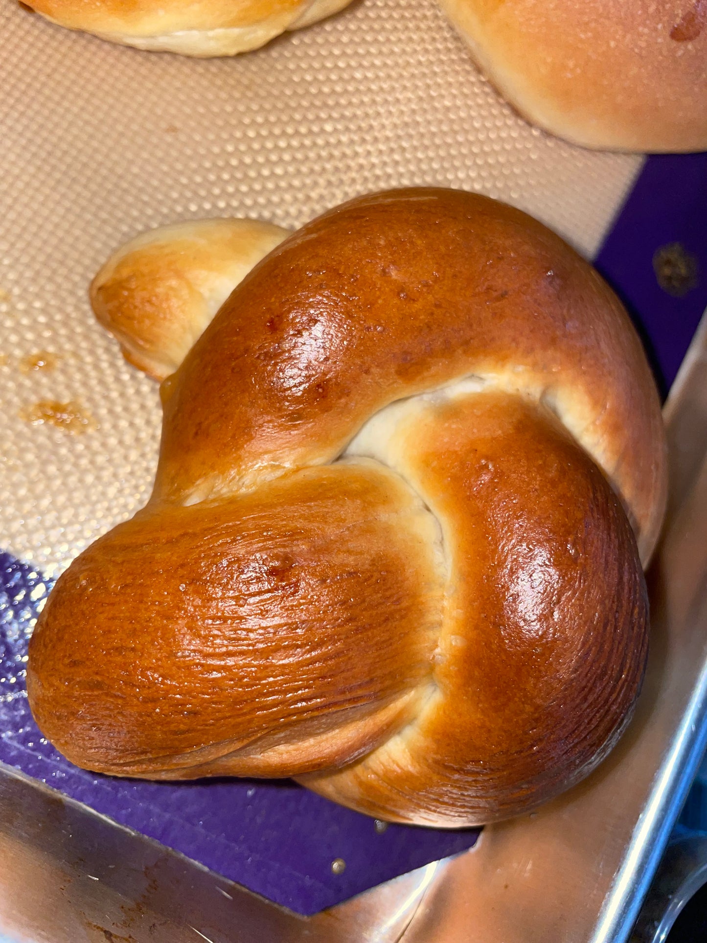 Babka Bread & Brioche Bread Baking Class