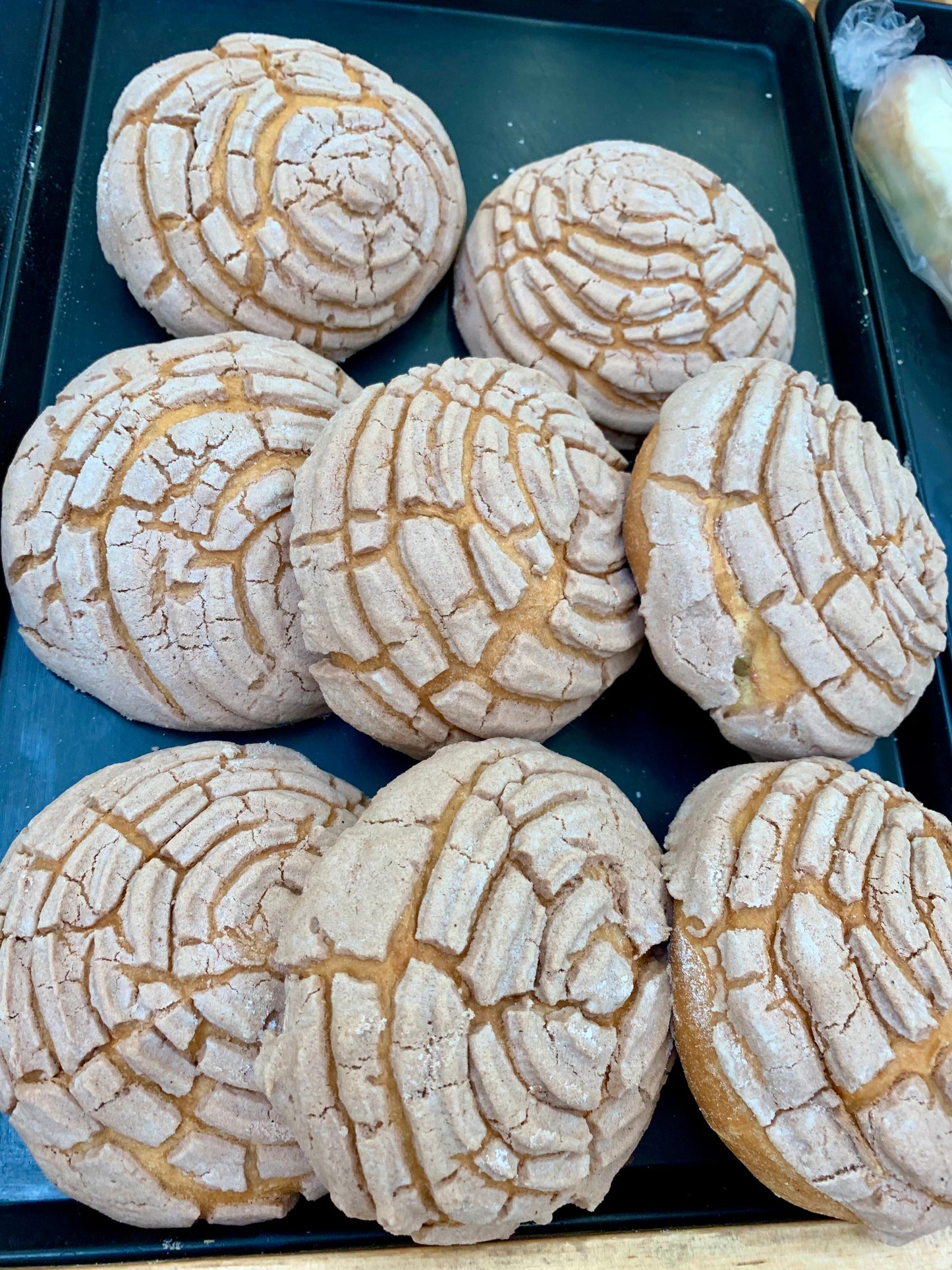 Mexican Conchas Sweet Break Making Class