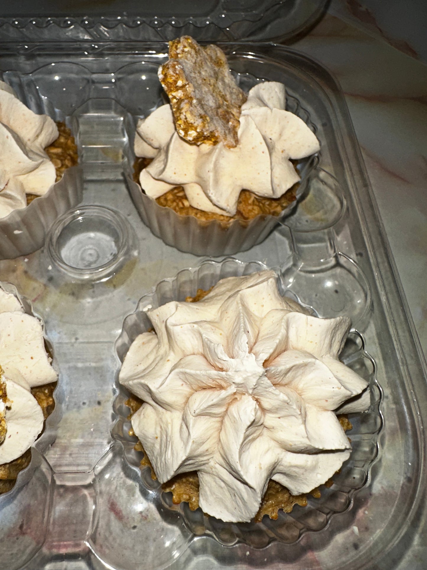 Doggie Pet Baking & Cooking Class