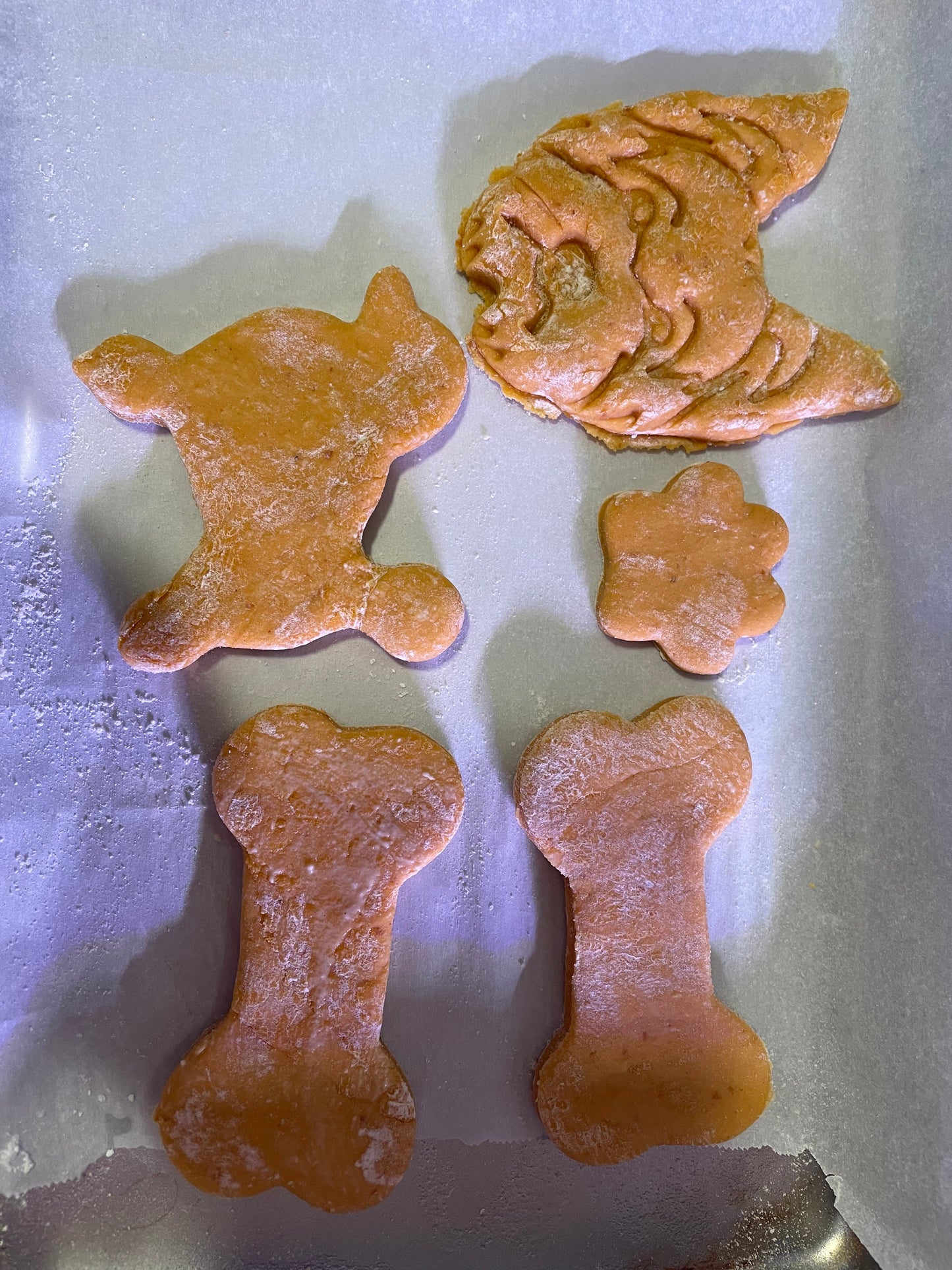 Doggie Pet Baking & Cooking Class
