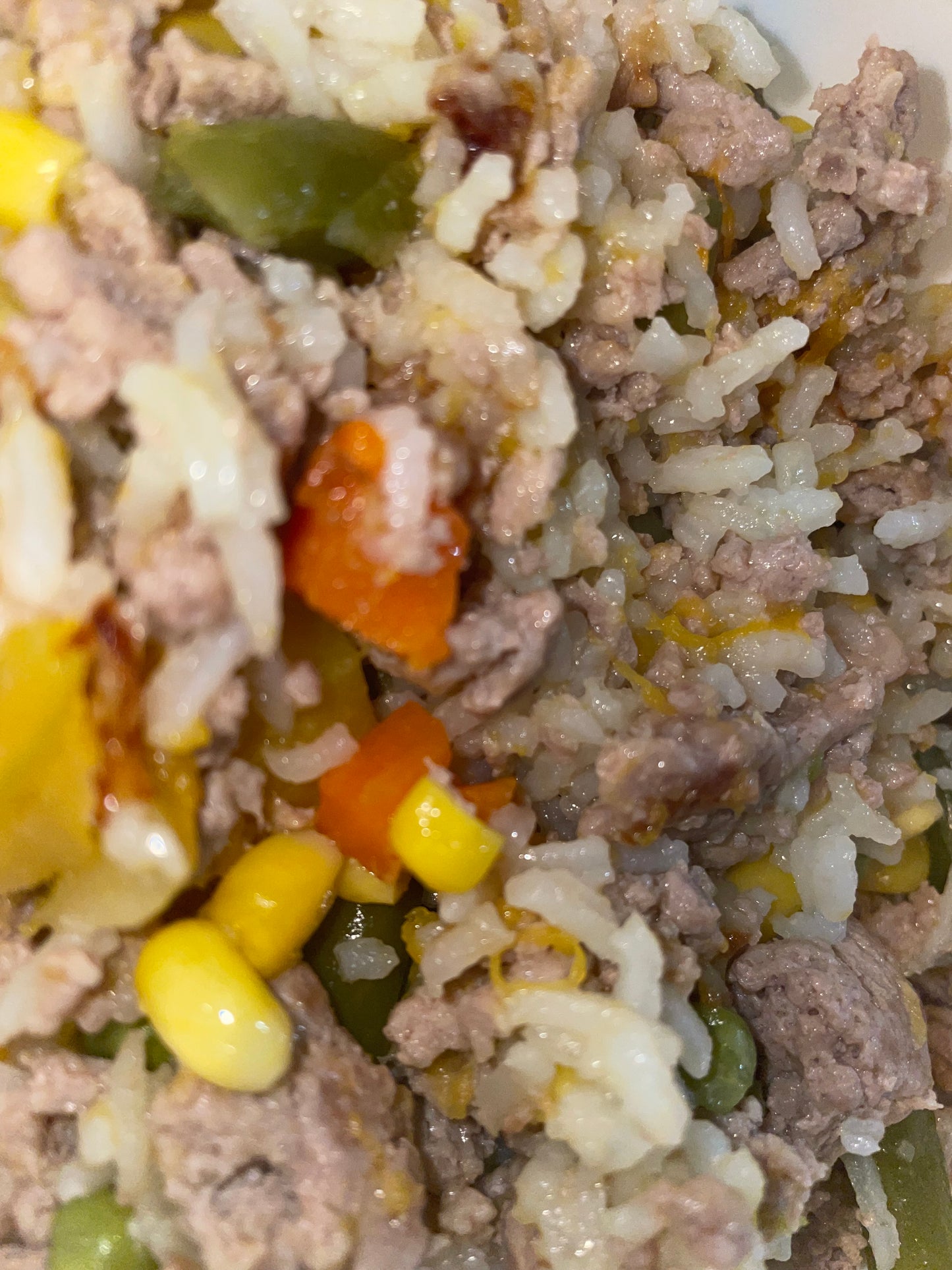 Doggie Pet Baking & Cooking Class