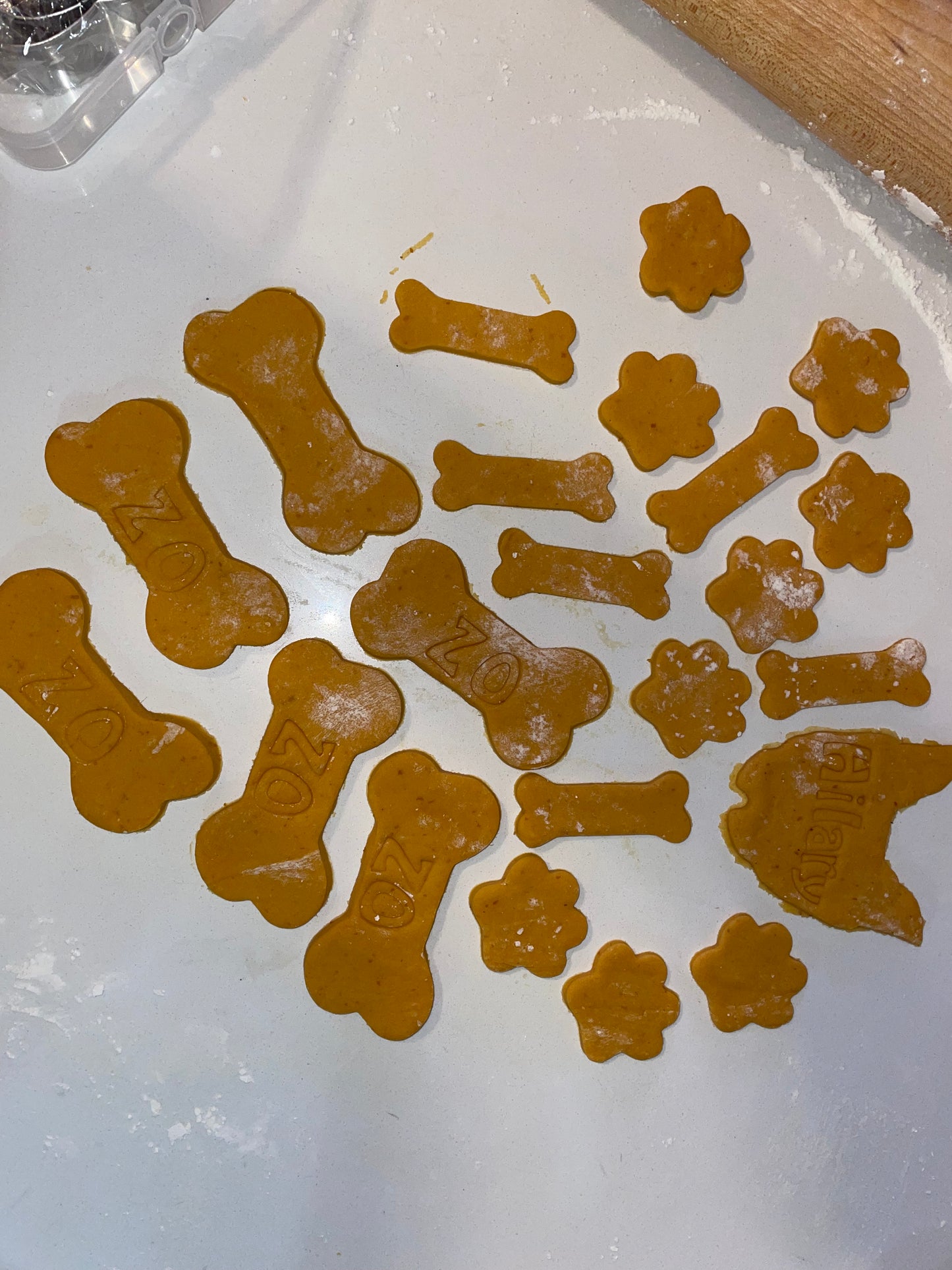 Doggie Pet Baking & Cooking Class