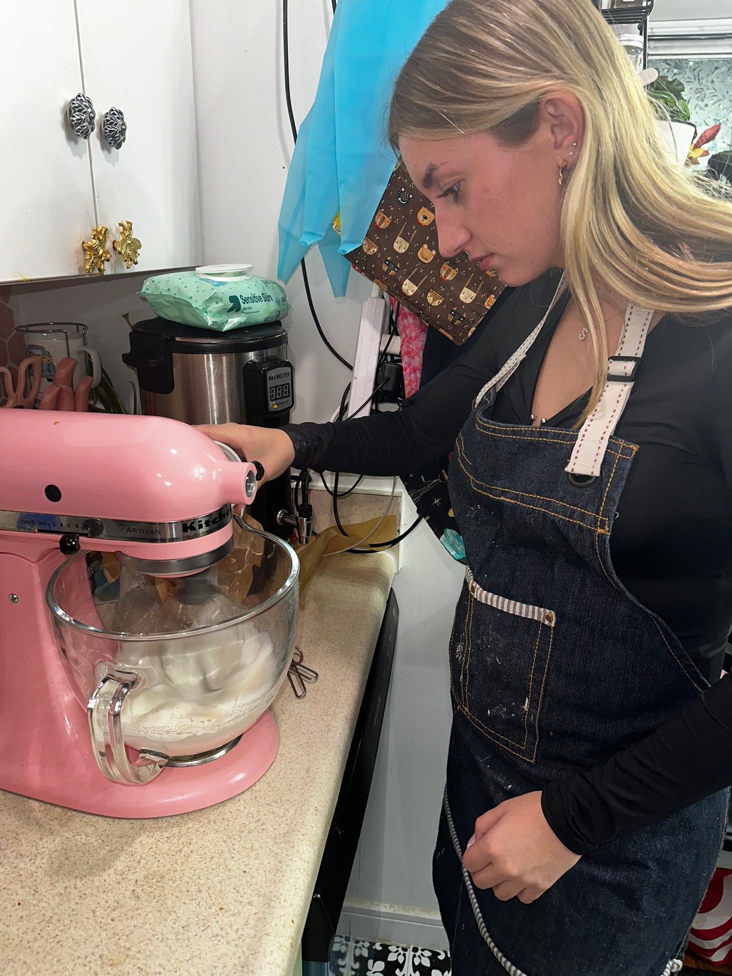 French Macaron Makibg Class