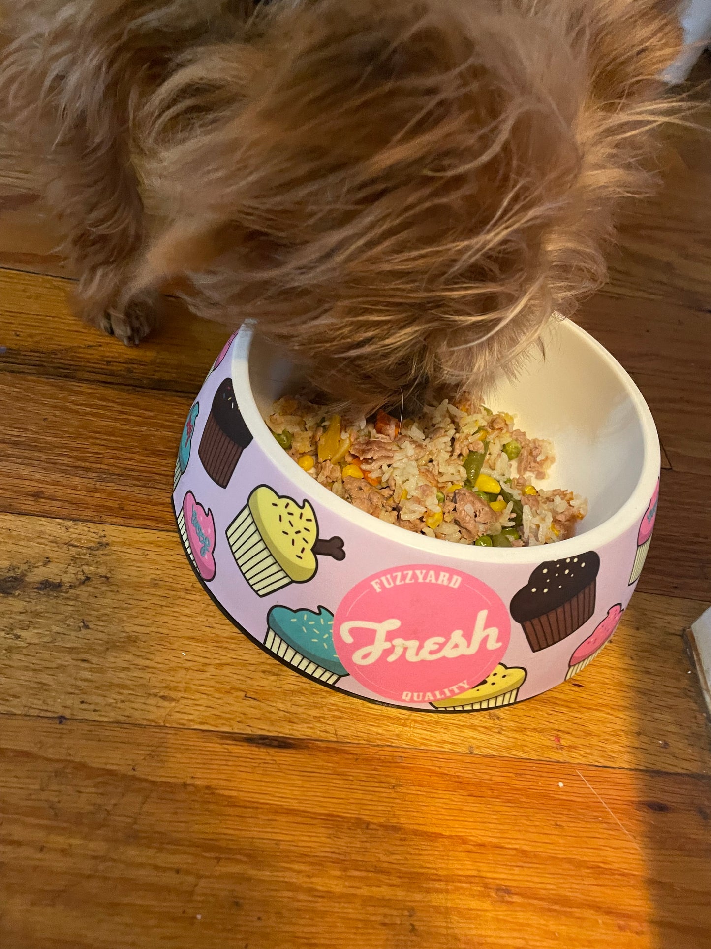 Doggie Pet Baking & Cooking Class