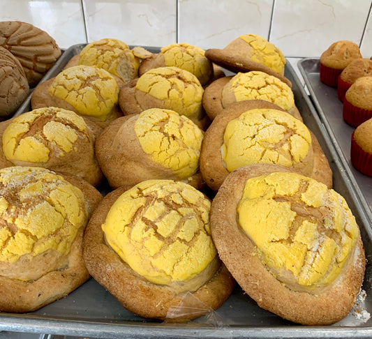 Mexican Conchas Sweet Break Making Class