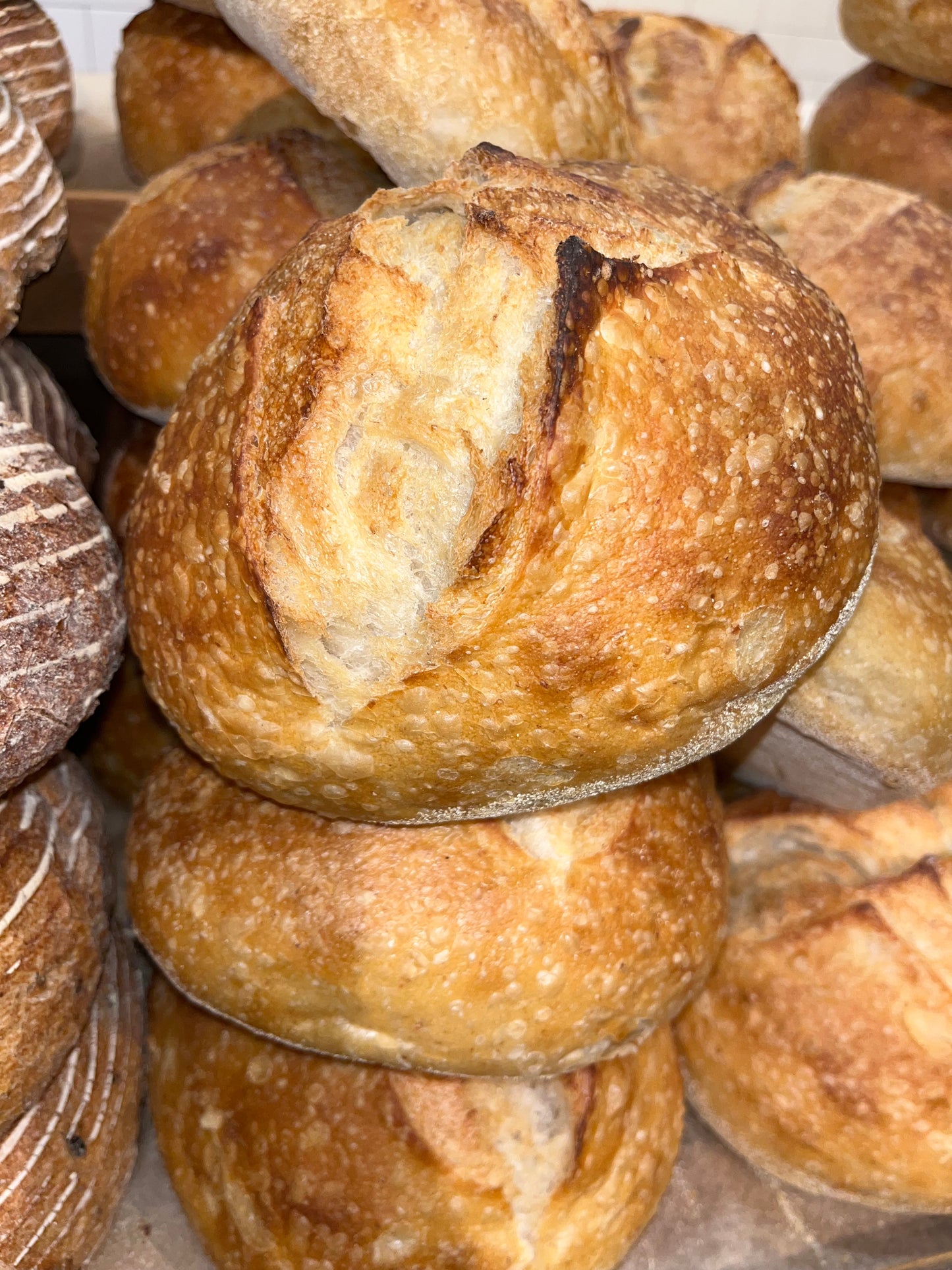 Bread Baking Series