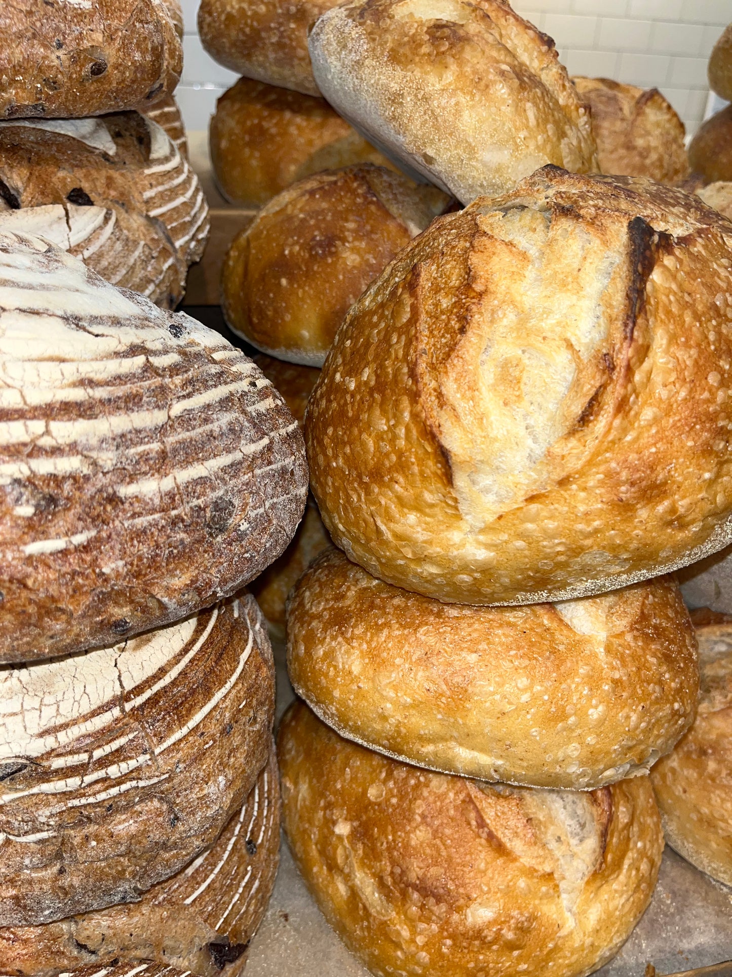 Bread Baking Series