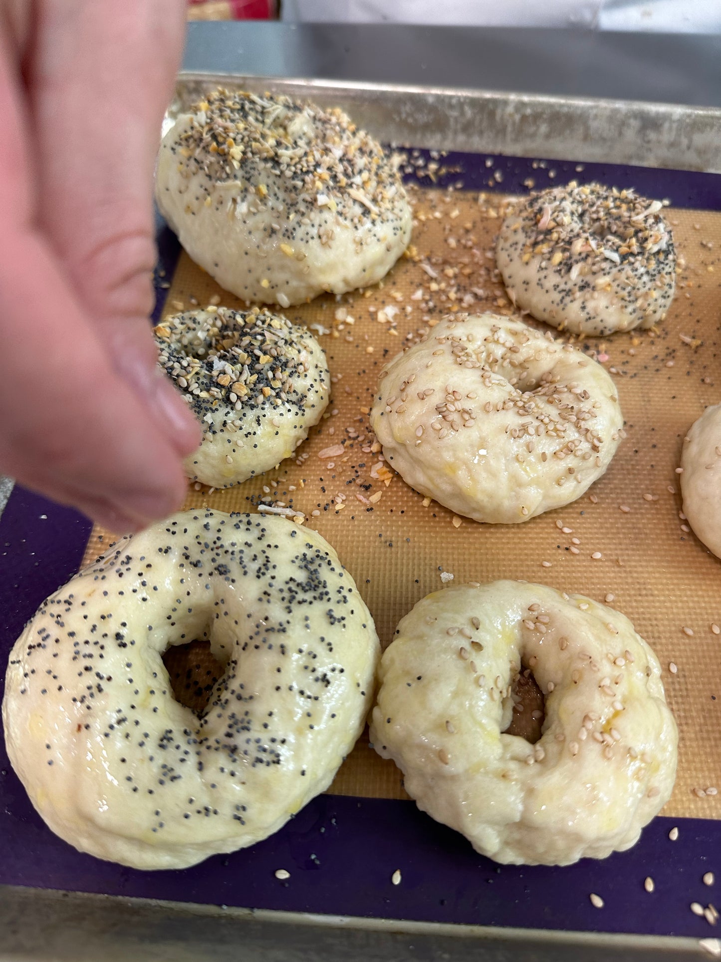 Bagel & Cream Cheese Making Class