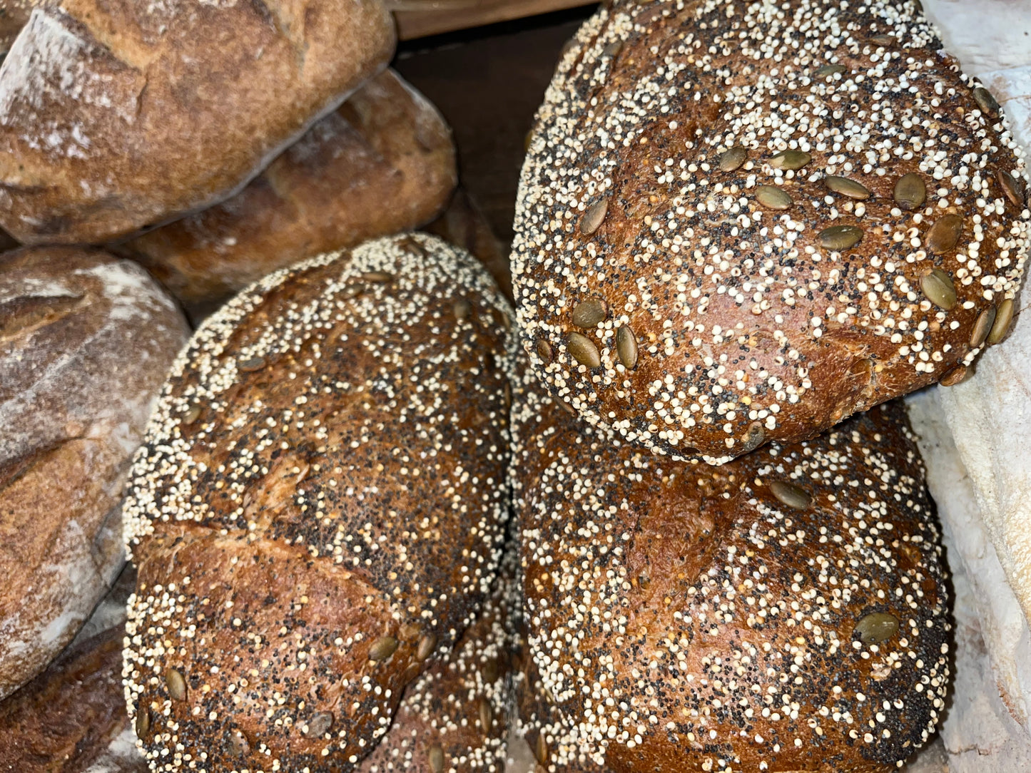 Bread Baking Series